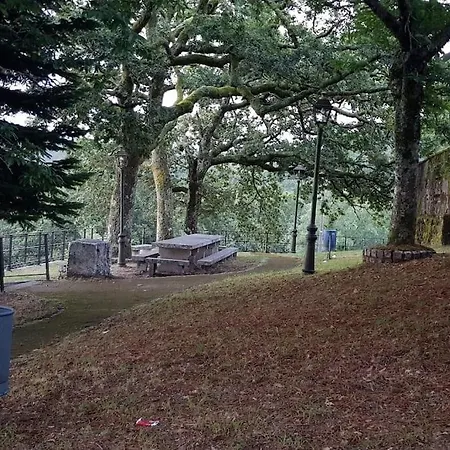 Apartamento Do Parque A Lama